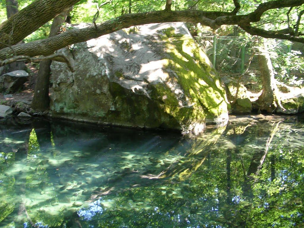 Алупка з panoramio.com (ч.3) - Алупка