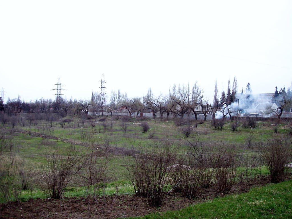 Тернуватий Кут з panoramio.com (ч.2) - Тернуватий Кут