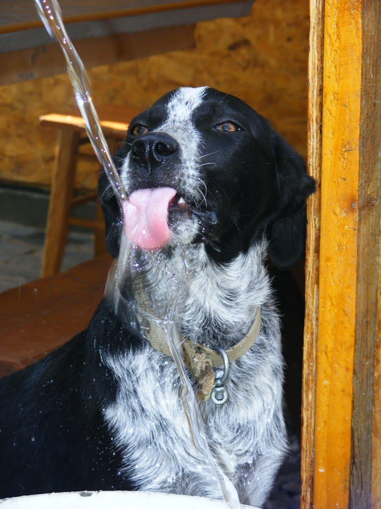 Жашків з panoramio.com - Жашків