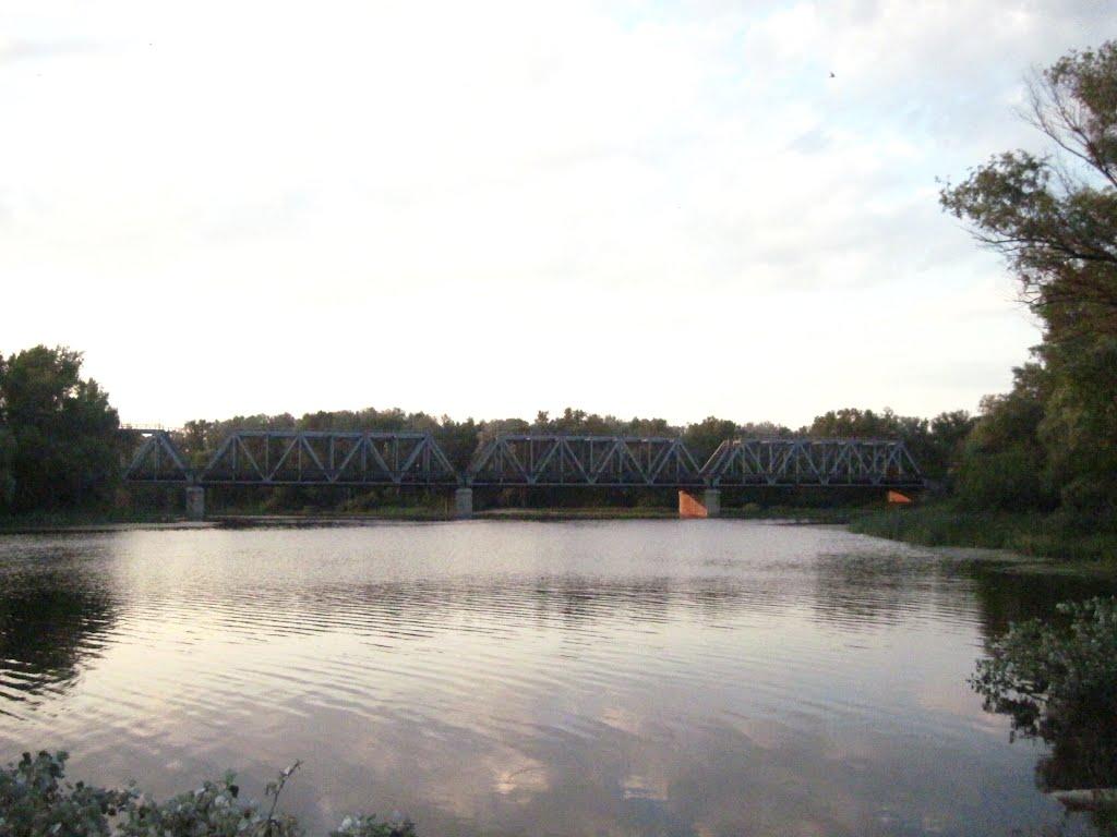 Кияшки з panoramio.com - Кияшки