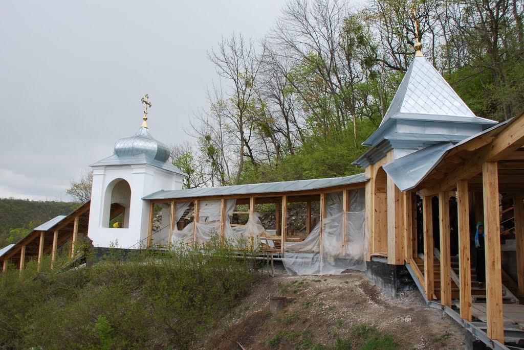 Святогірськ з panoramio.com - Святогорск