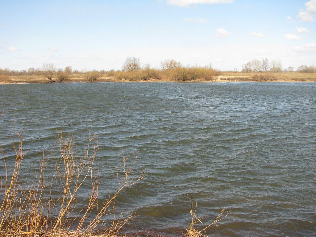 Хотянівка з panoramio.com - Хотянівка