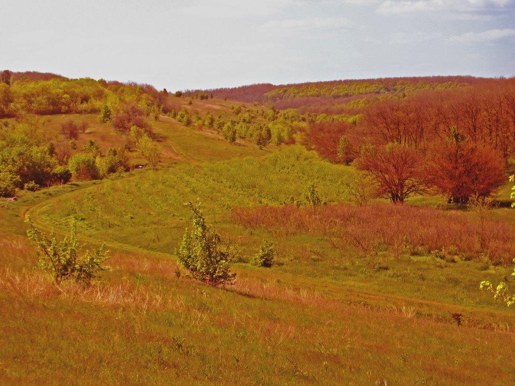 Мишурин Ріг з panoramio.com - Мишурин Ріг