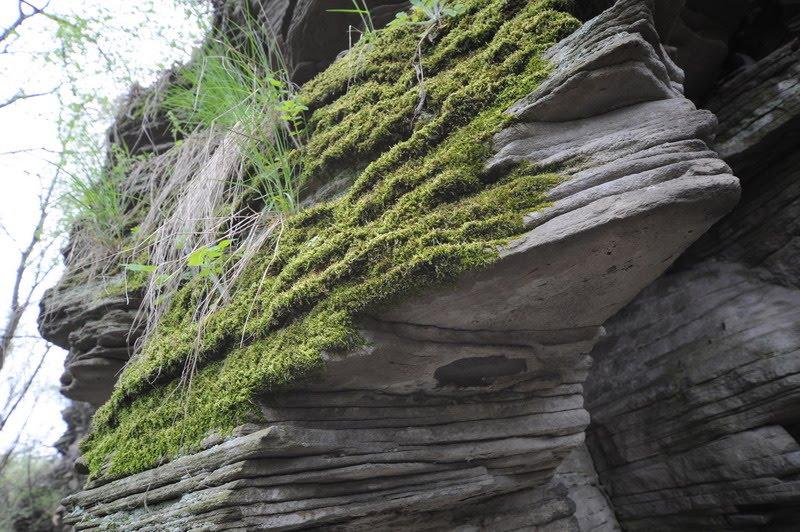 Вахрушеве з panoramio.com - Вахрушеве