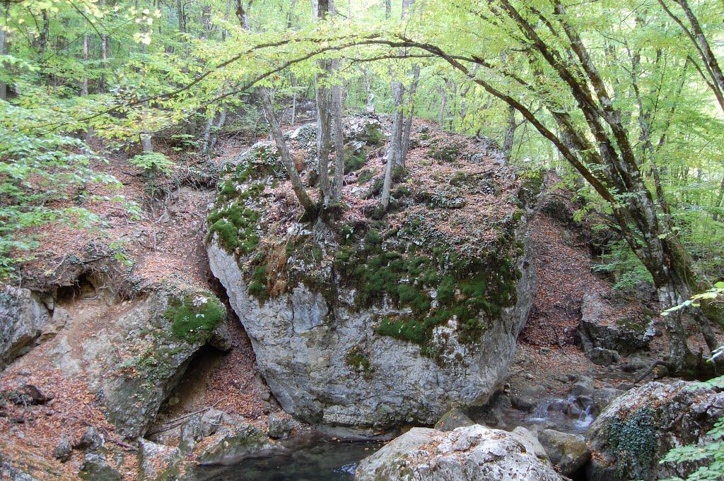 Соколине з panoramio.com (ч.2) - Соколиное