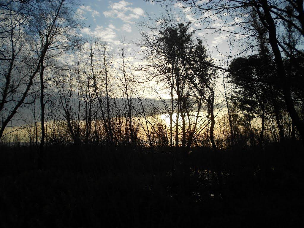 Худяки з panoramio.com - Худяки