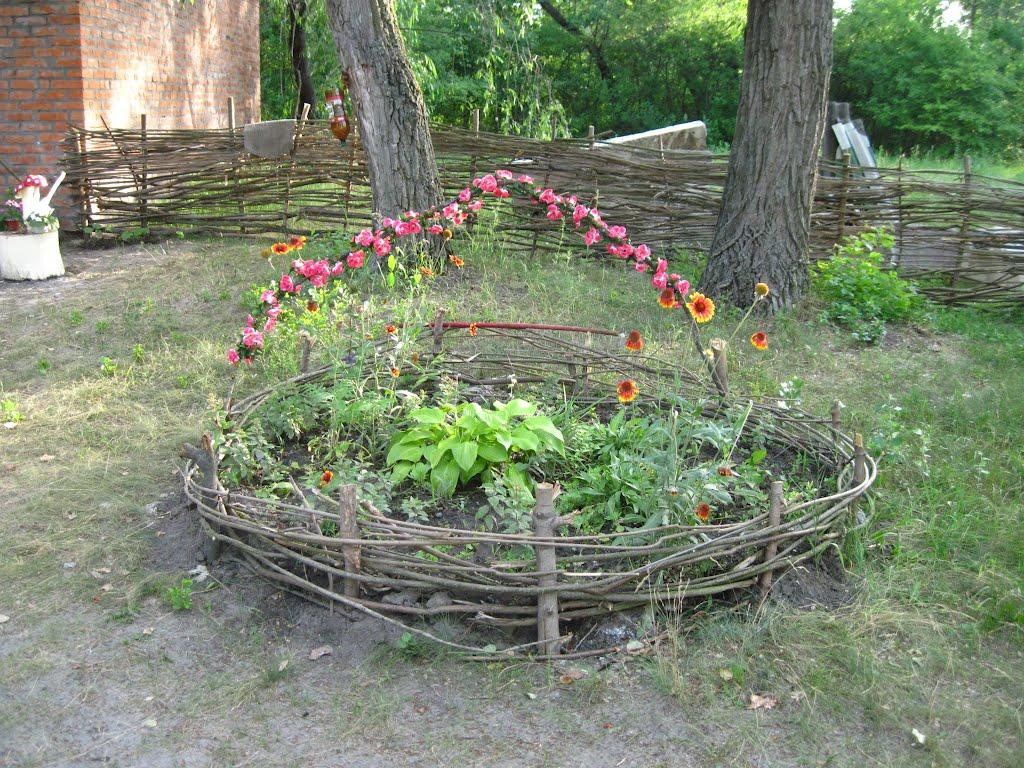 Кияшки з panoramio.com - Кияшки