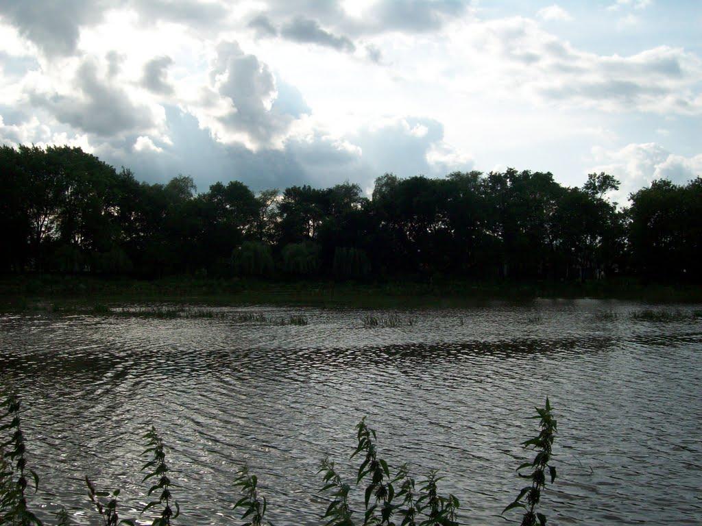 Коломия з panoramio.com - Коломыя