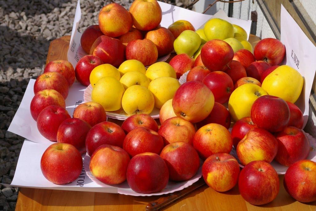 Яблунівка з panoramio.com - Яблунівка