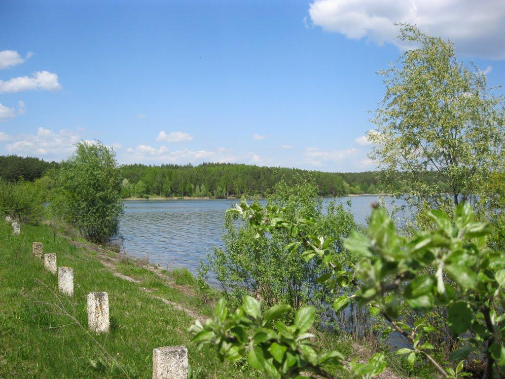 Жовтневе з panoramio.com - Жовтневе