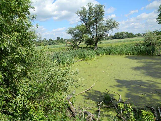 Дергачі з panoramio.com - Дергачі