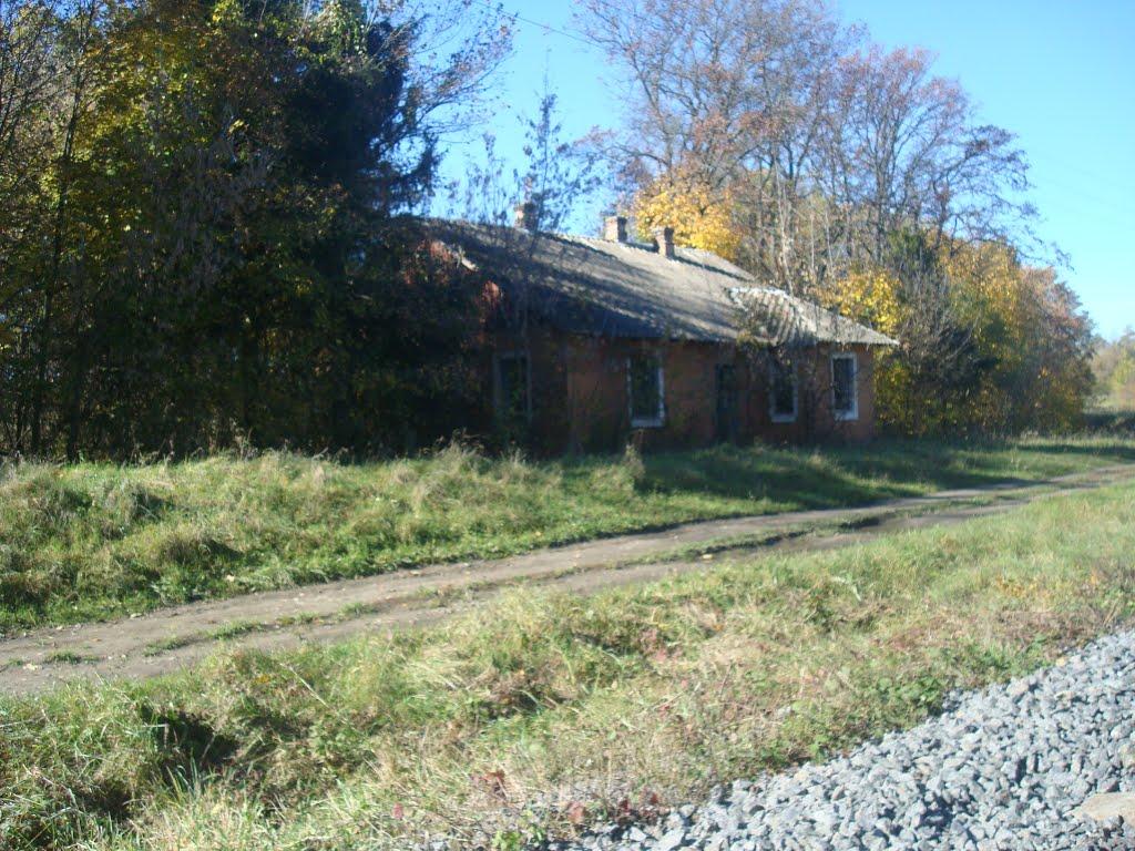 Западинці з panoramio.com - Zapadyntsi