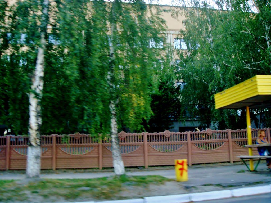 Неморож з panoramio.com - Неморож