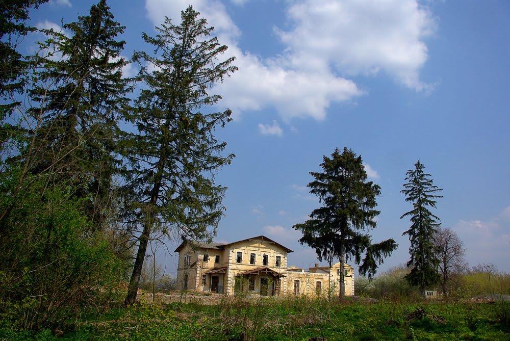 Чайківка з panoramio.com - Чайківка