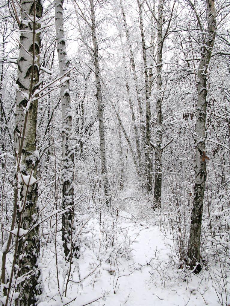Луганськ з panoramio.com (ч.7) - Луганск