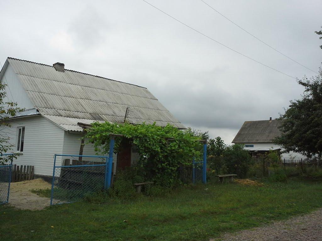 Вирка з panoramio.com - Вирка