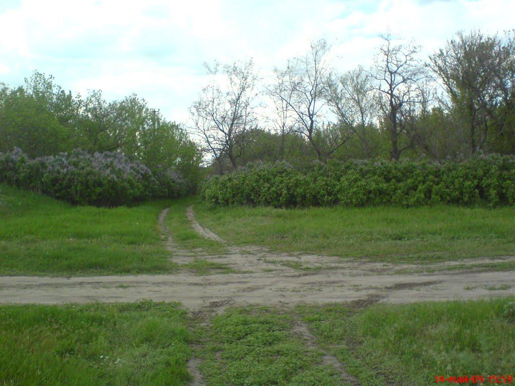 Вільне з panoramio.com - Вільне