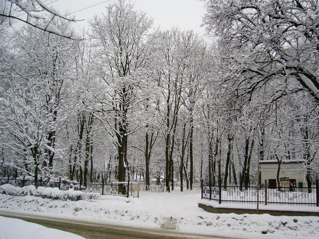Коломия з panoramio.com - Коломыя