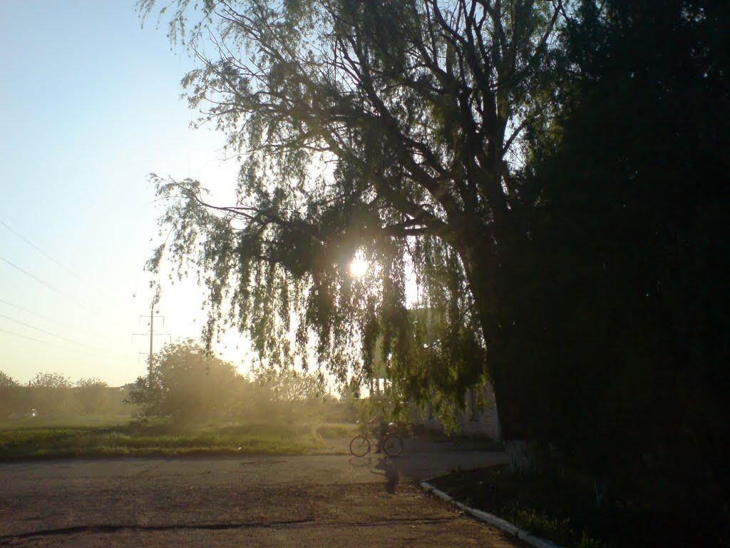 Бердянськ з panoramio.com (ч.3) - Бердянск