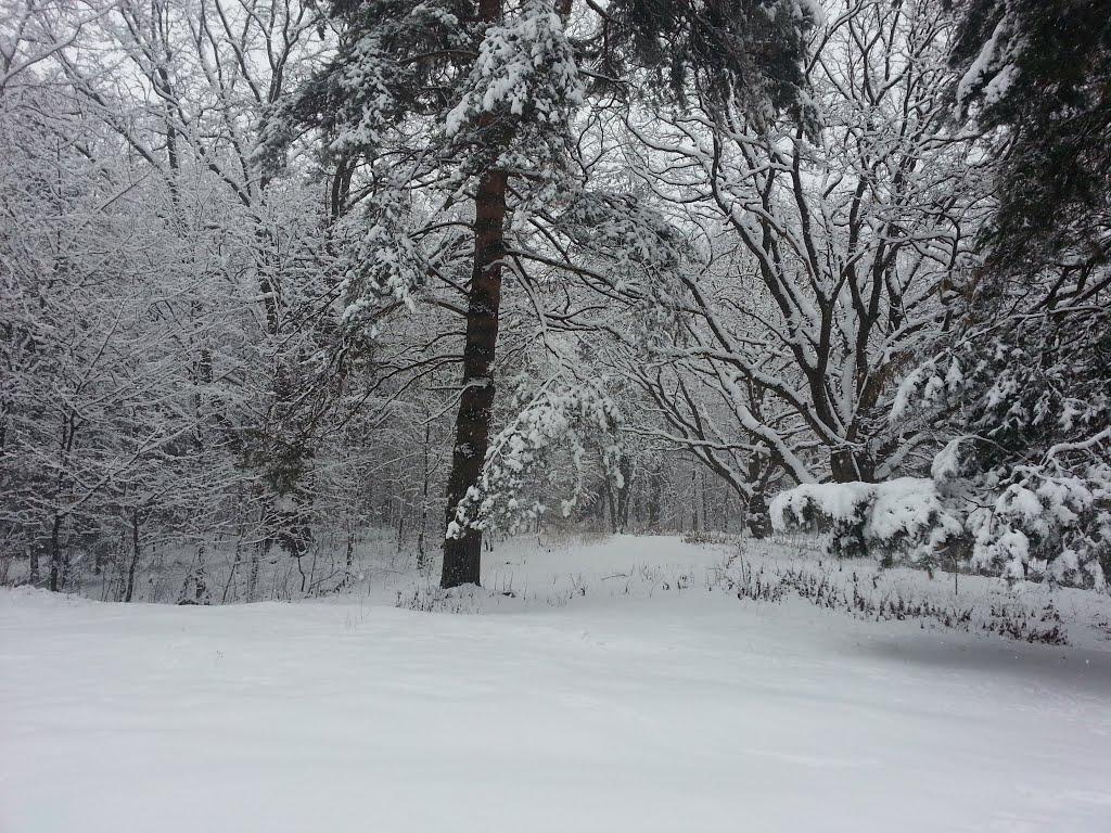 Карпати з panoramio.com - Карпати