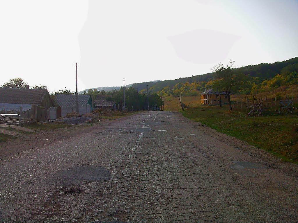 Нагірне з panoramio.com - Нагорное