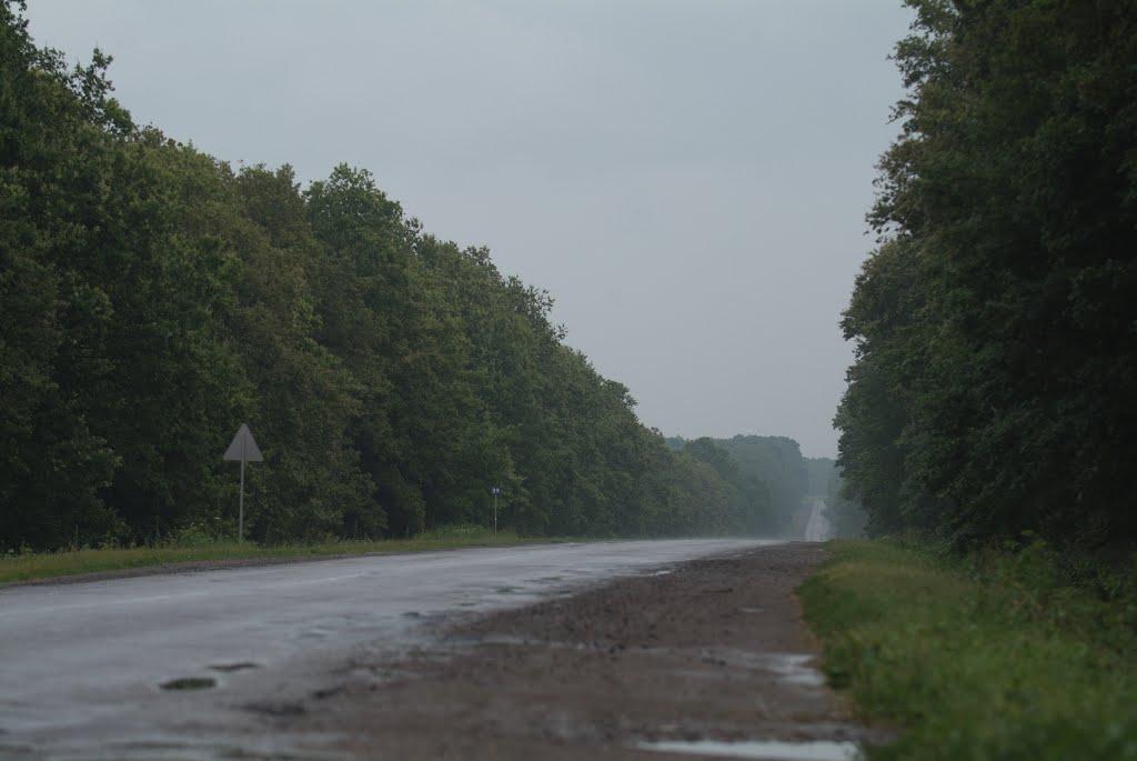 Сазоно-Баланівка з panoramio.com - Сазоно-Баланівка