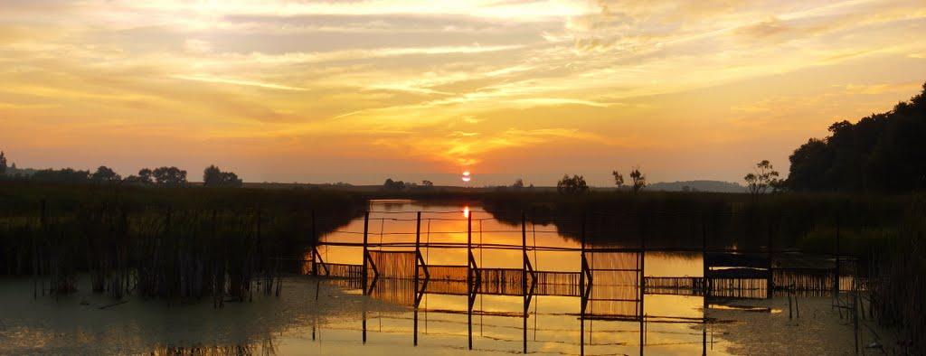 Заріччя з panoramio.com - Заріччя