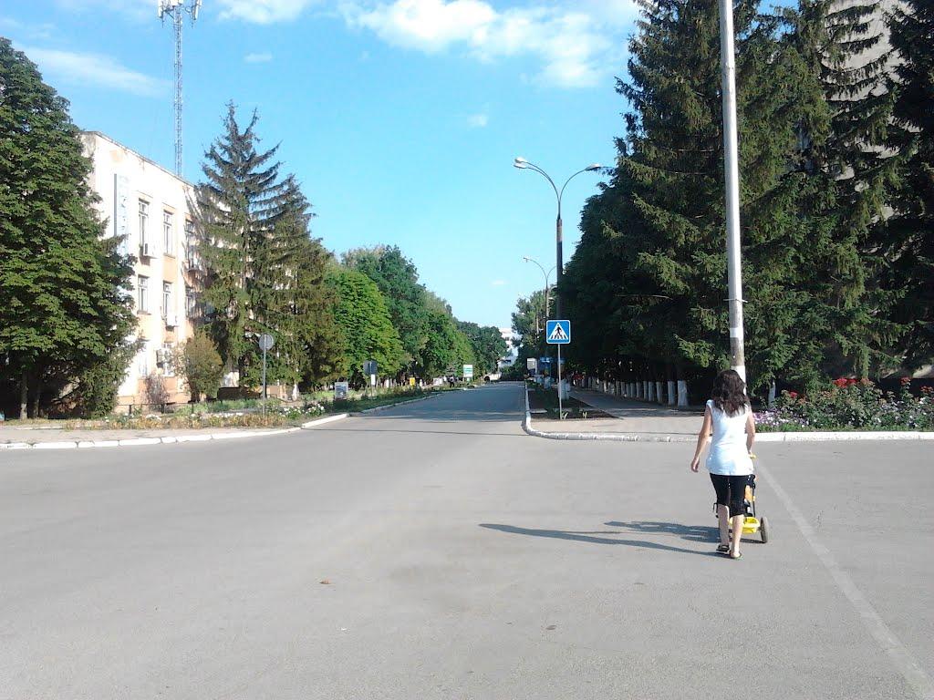 Чистоводне з panoramio.com - Чистоводне