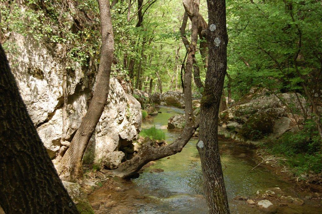 Резервне з panoramio.com (ч.4) - Резервное