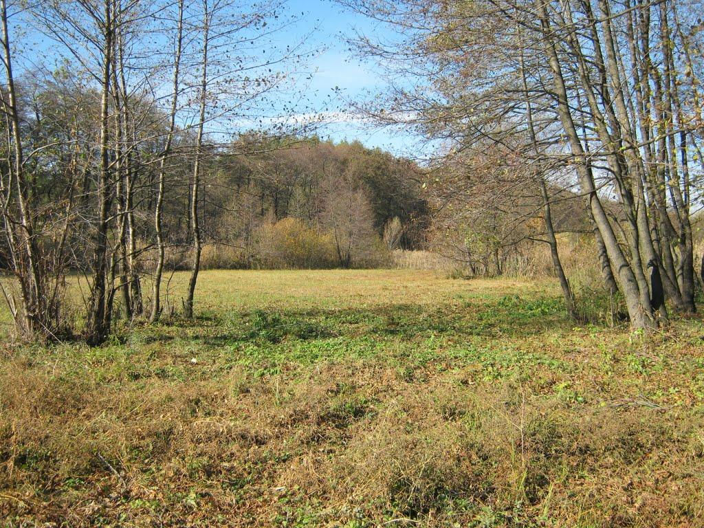 Ківшарівка з panoramio.com - Ківшарівка