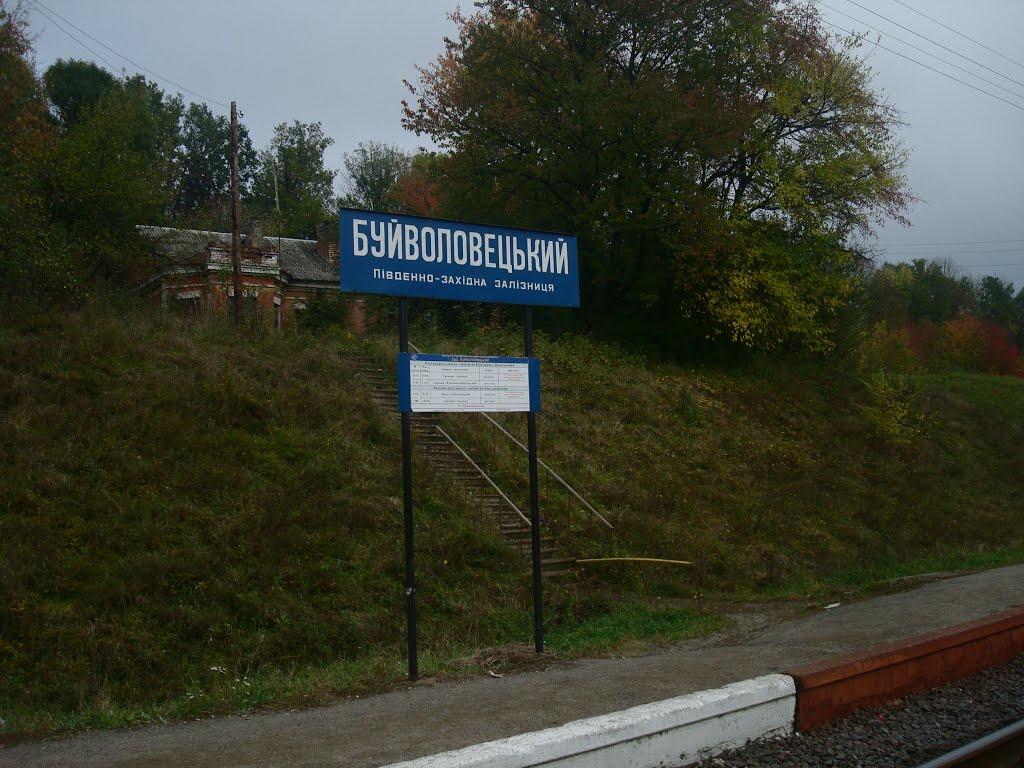 Верхівці з panoramio.com - Верхівці