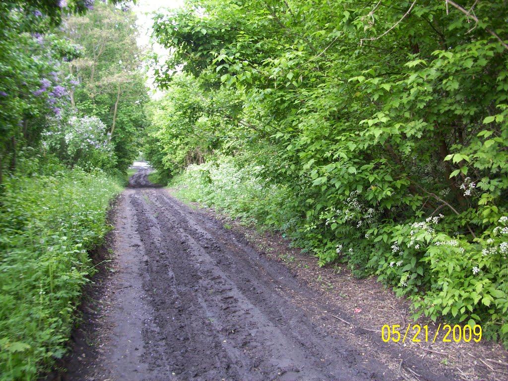 Чорнорудка з panoramio.com - Чернорудка