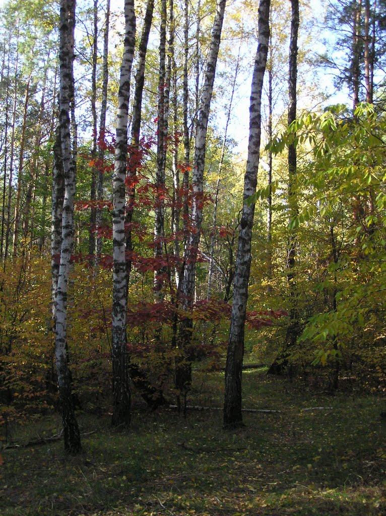 Гнідин з panoramio.com (ч.3) - Гнідин