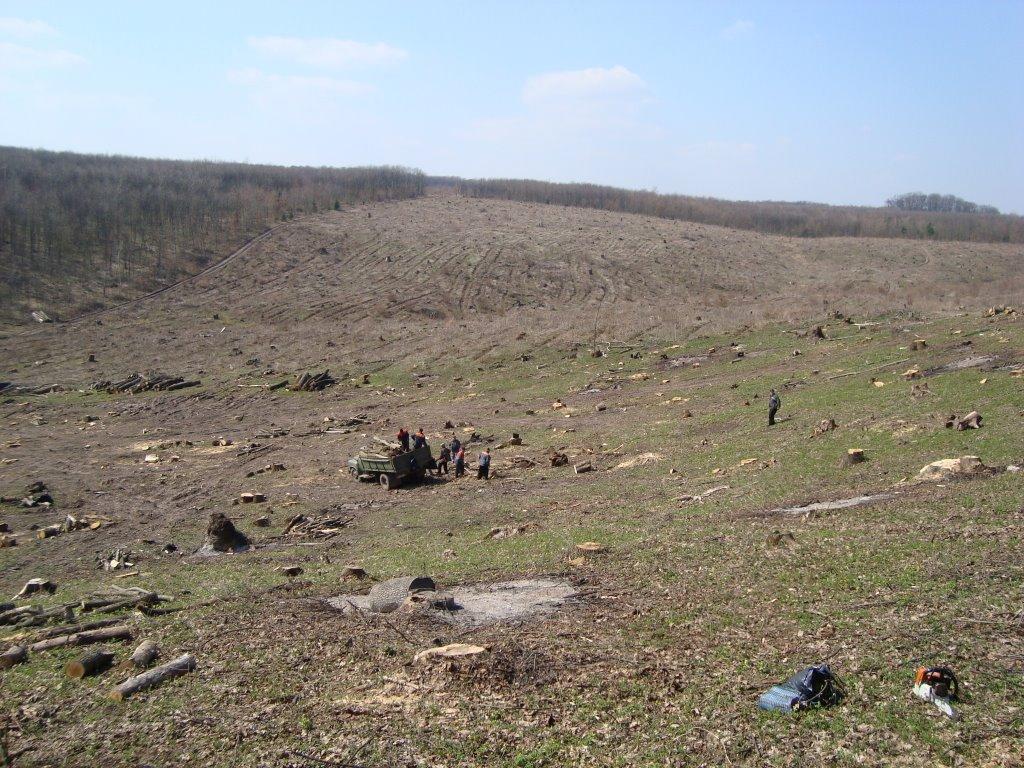 Новоукраїнка з panoramio.com - Новоукраїнка