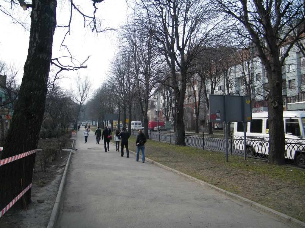 Рівне з panoramio.com (ч.5) - Ровно