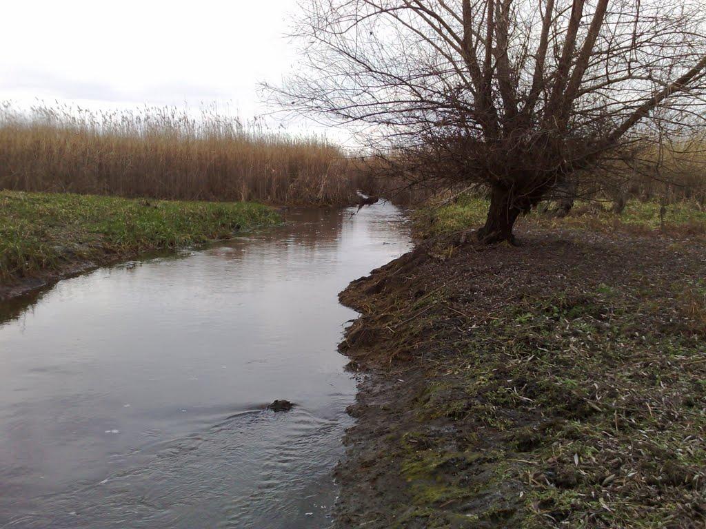 Троїцьке з panoramio.com - Троїцьке