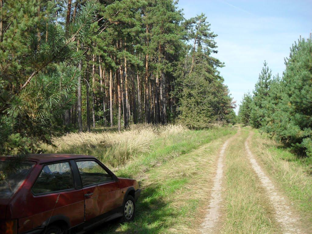 Хаєнки з panoramio.com - Хаенки