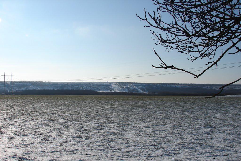 Вікторівка з panoramio.com - Вікторівка