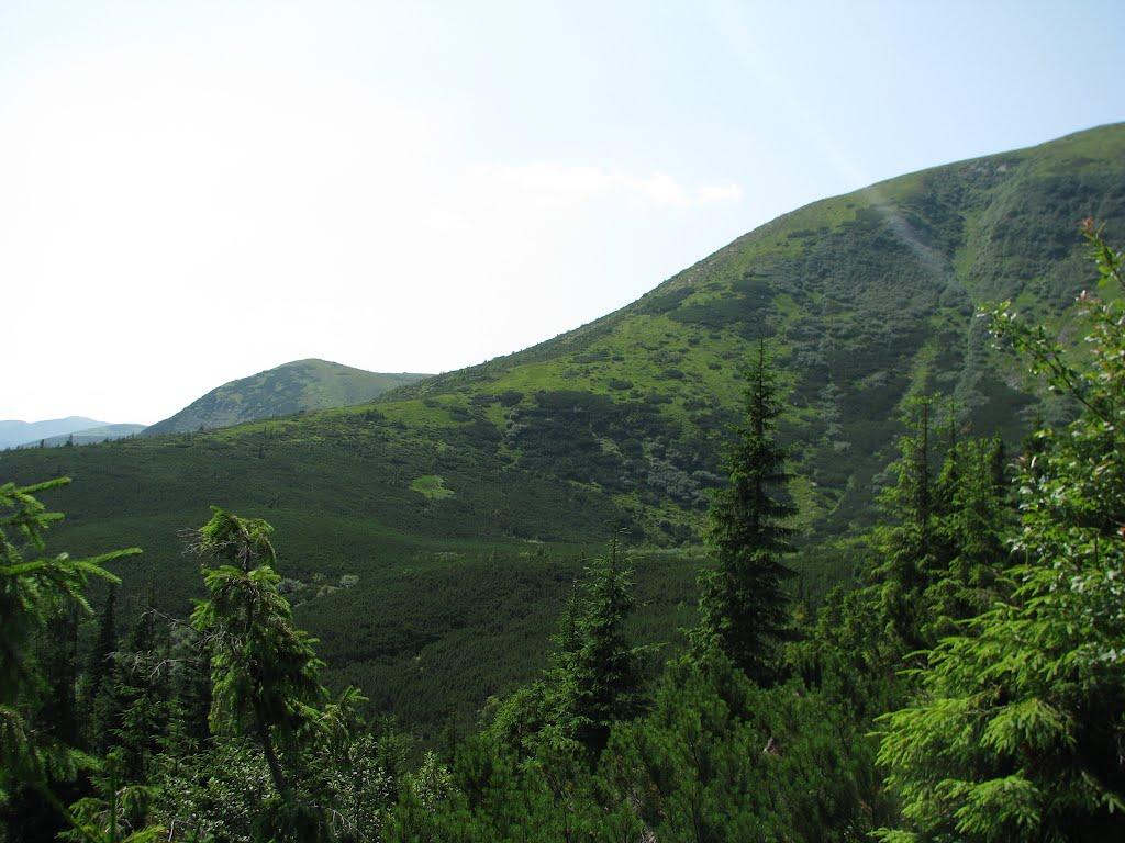 Говерла з panoramio.com (ч.2) - Говерла