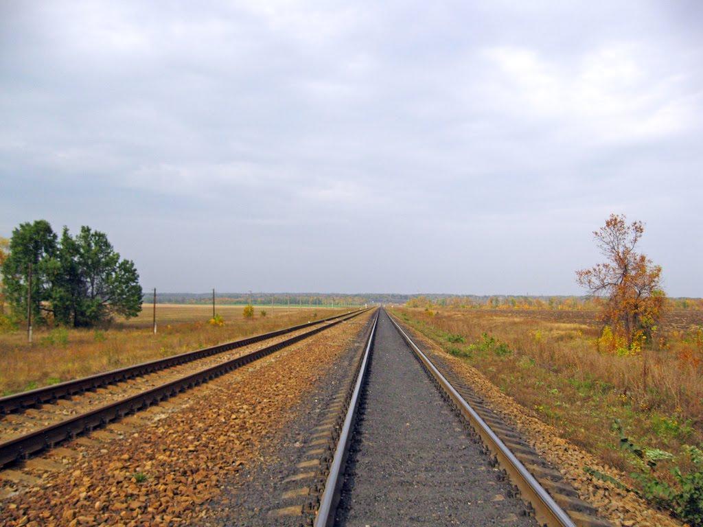 Чорнухине з panoramio.com - Чорнухине