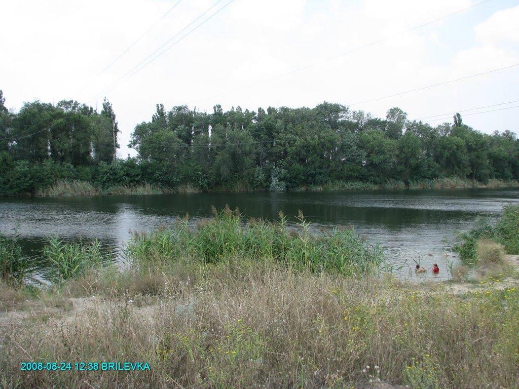 Брилівка з panoramio.com - Brylivka