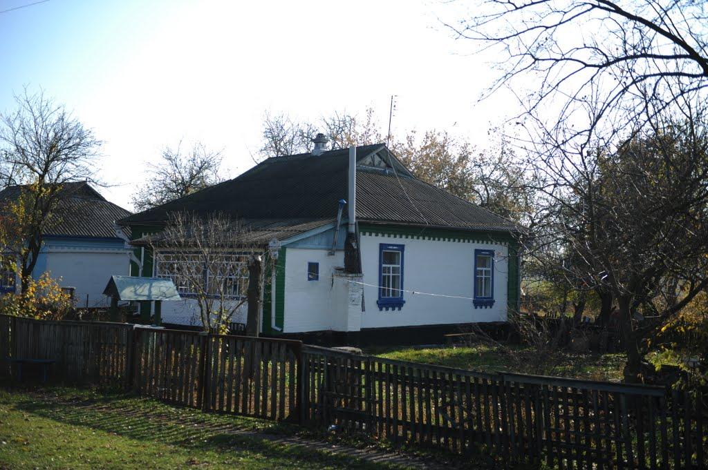 Нова Оржиця з panoramio.com - Нова Оржиця