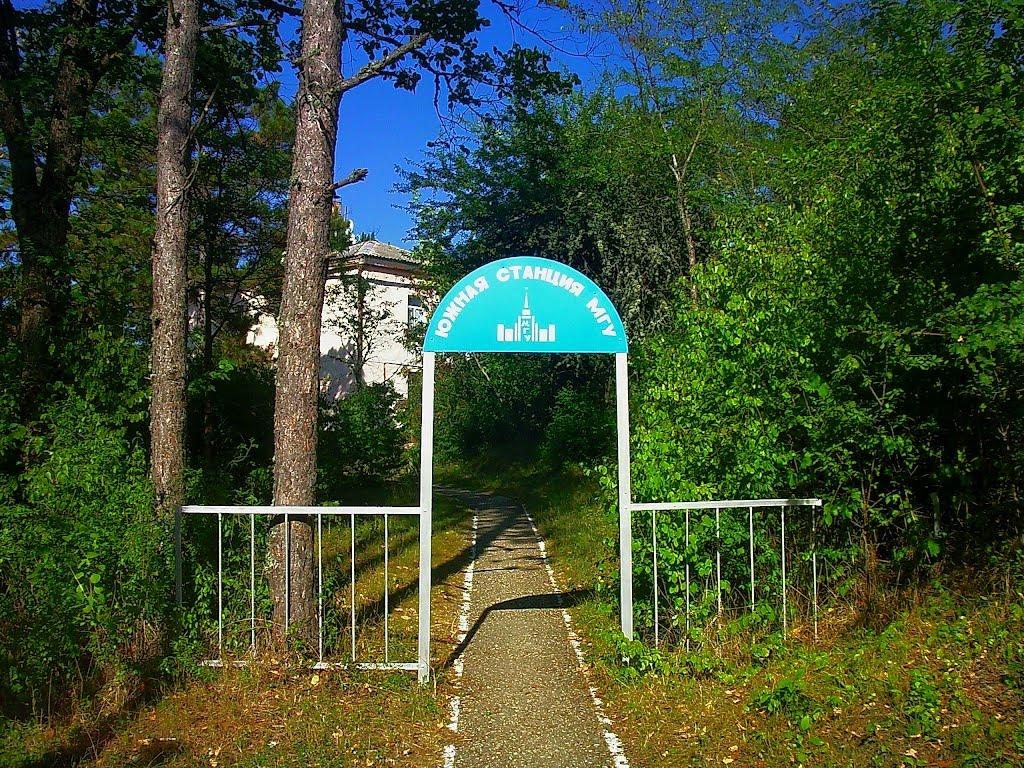 Научний з panoramio.com - Научний