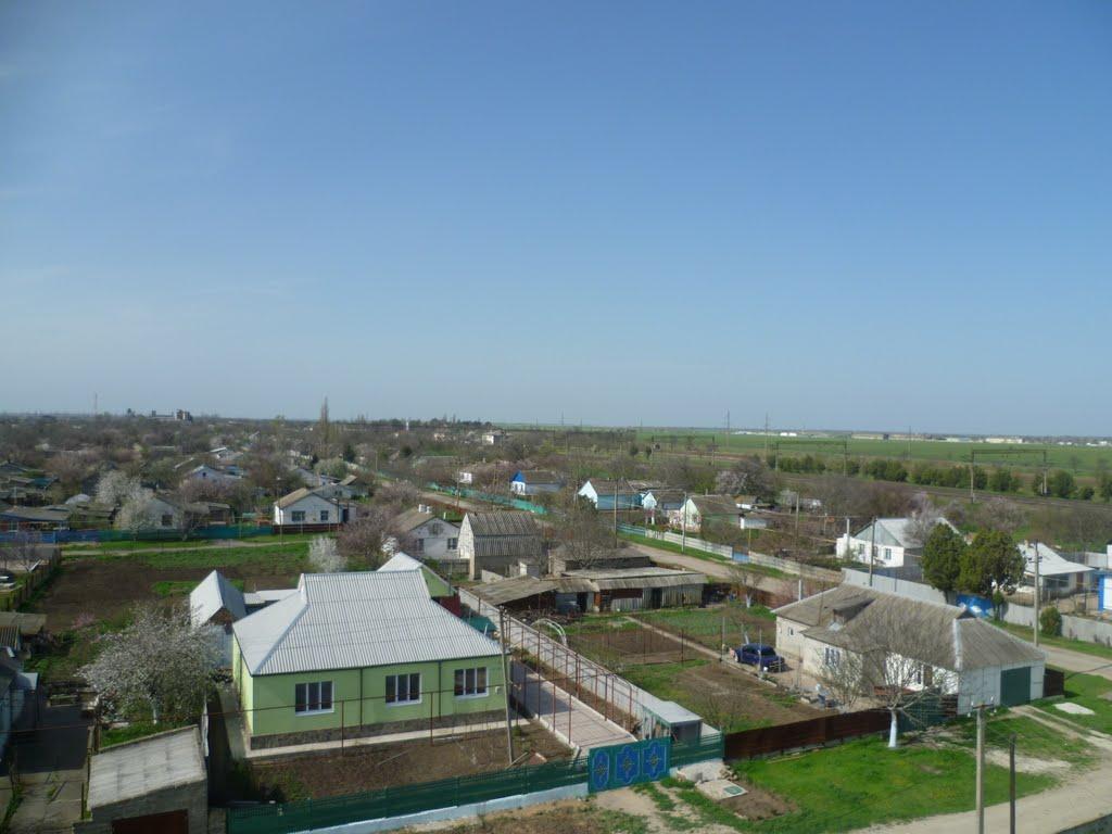 Полтавка з panoramio.com - Полтавка