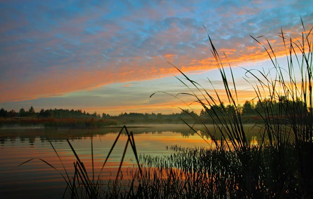 Житлівка з panoramio.com - Житлівка