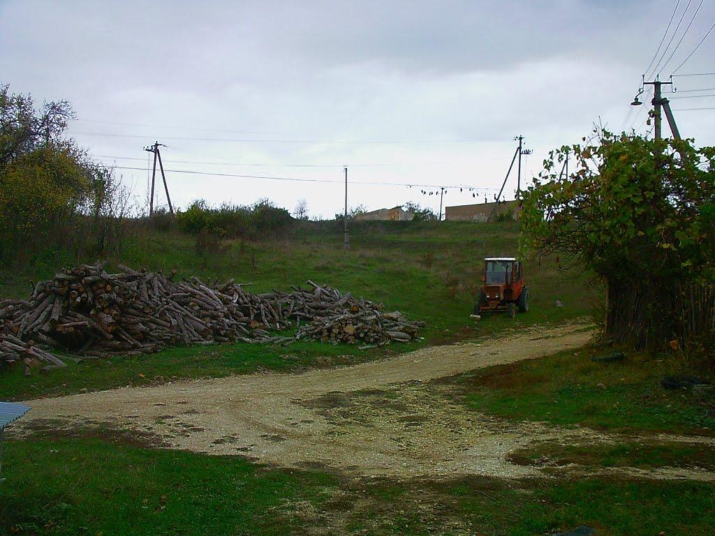 Високе з panoramio.com - Высокое