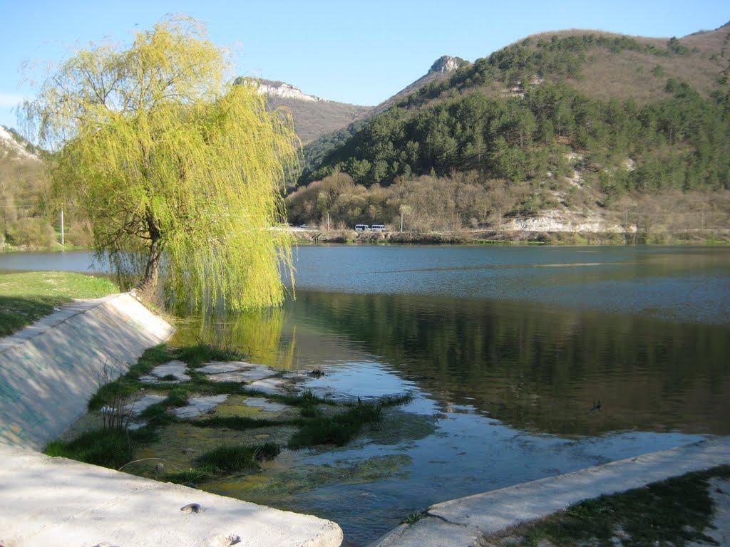 Залісне з panoramio.com (ч.2) - Залісне