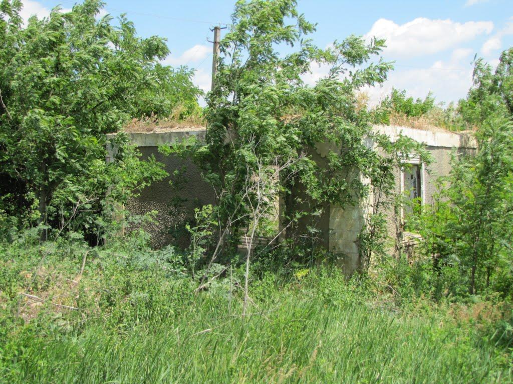 Олексіївка з panoramio.com - Алексеевка