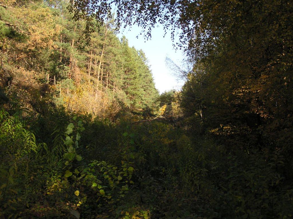 Гнідин з panoramio.com (ч.3) - Гнідин