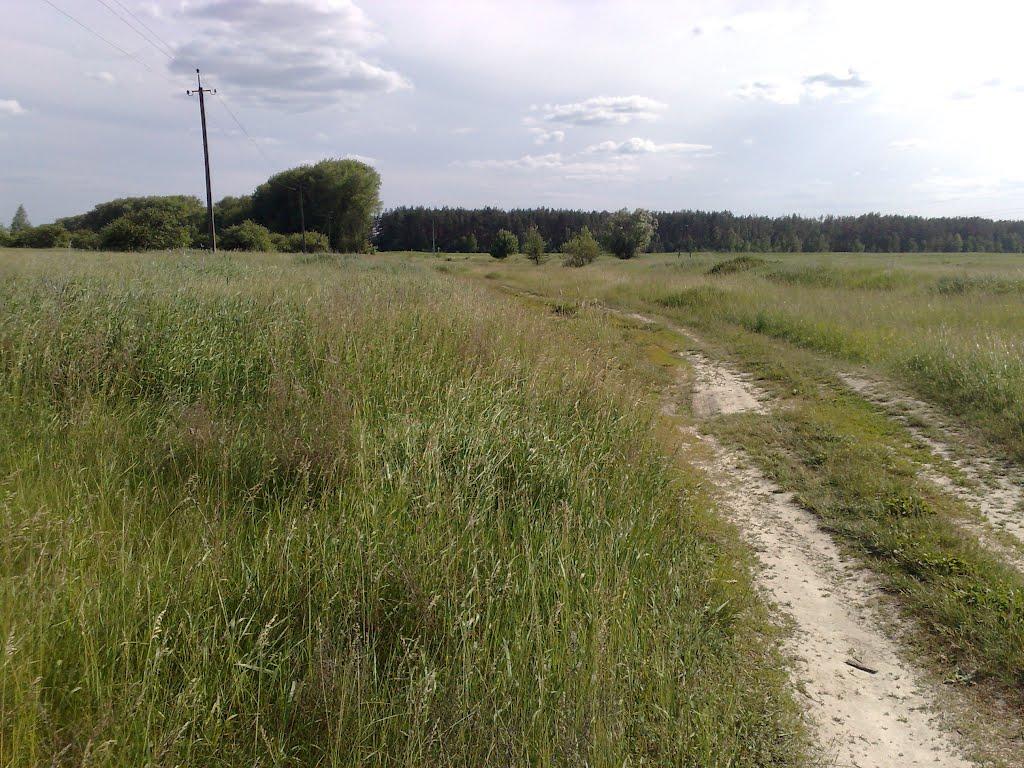 Волевачі з panoramio.com - Волевачі